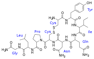 Molécule d'ocytocine